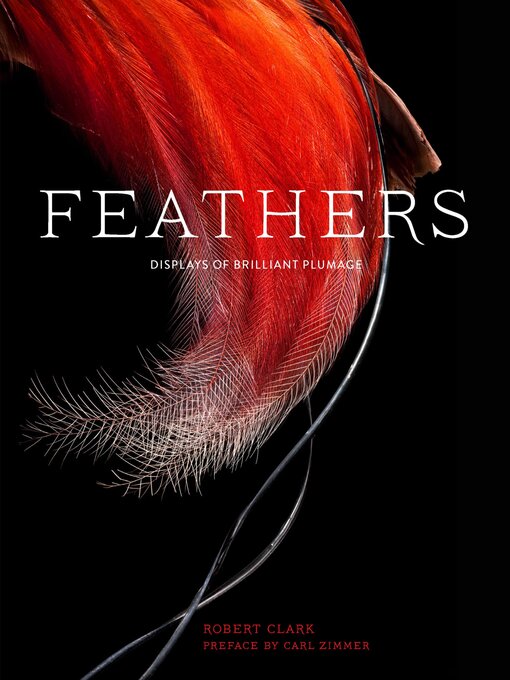 Title details for Feathers by Robert Clark - Available
